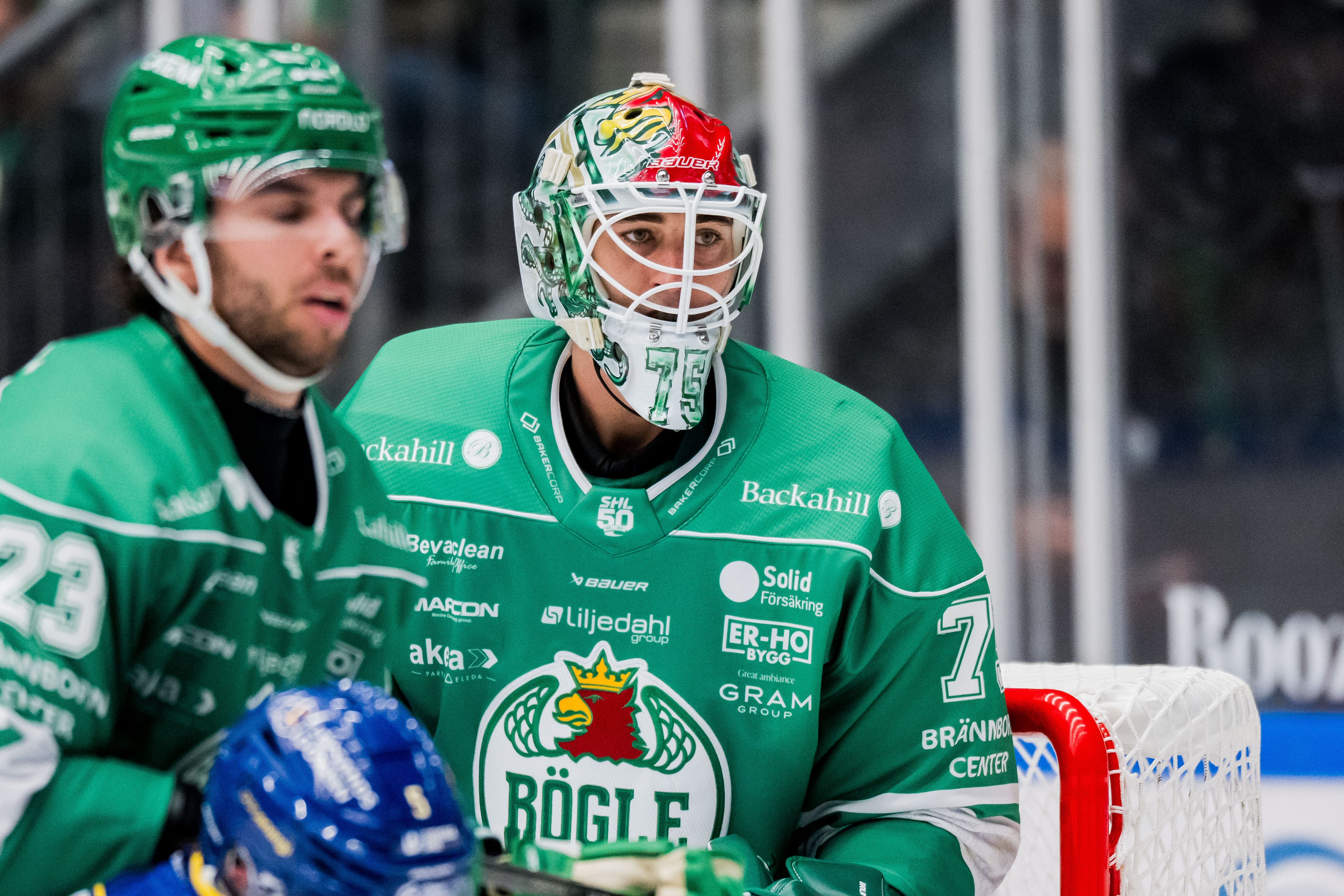 Arvid Holm Rögle