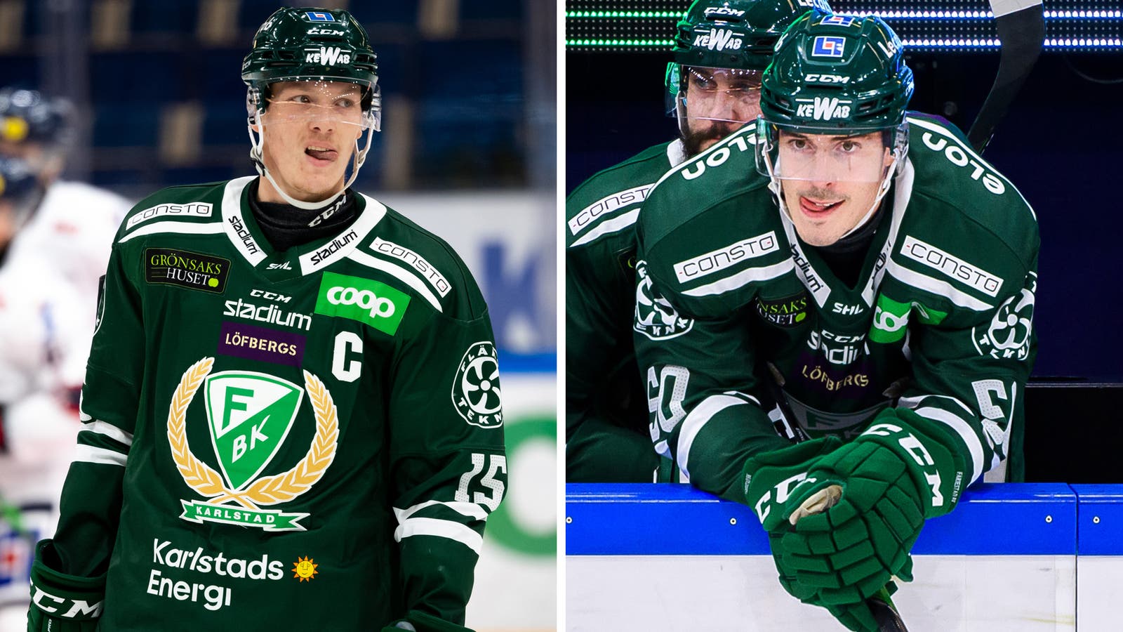 (15965) Rydahl-Sebbe