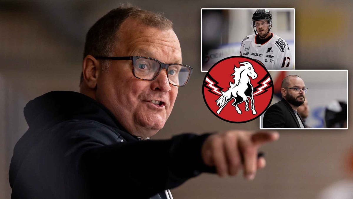 Magnus Sundquist, Vita Hästen