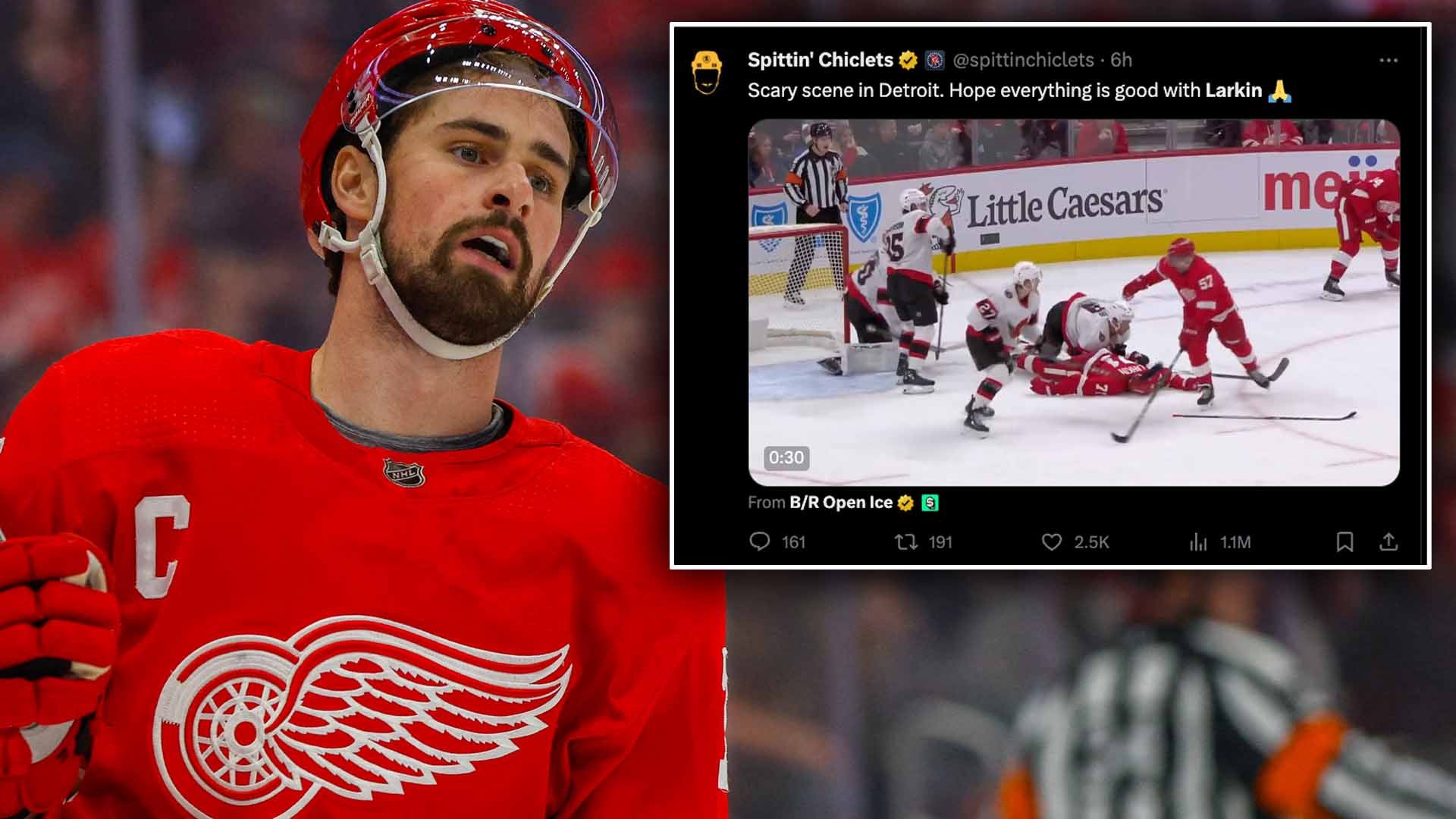 (30538) Dylan Larkin