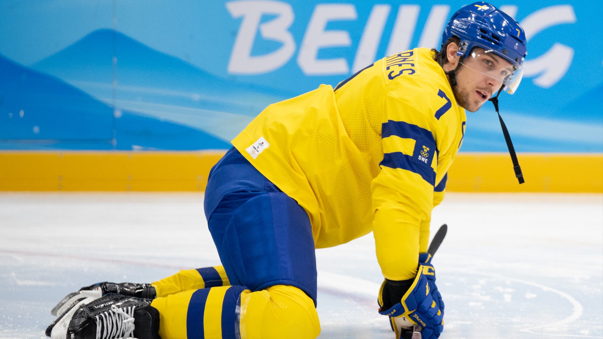 (23333) Henrik Tömmernes