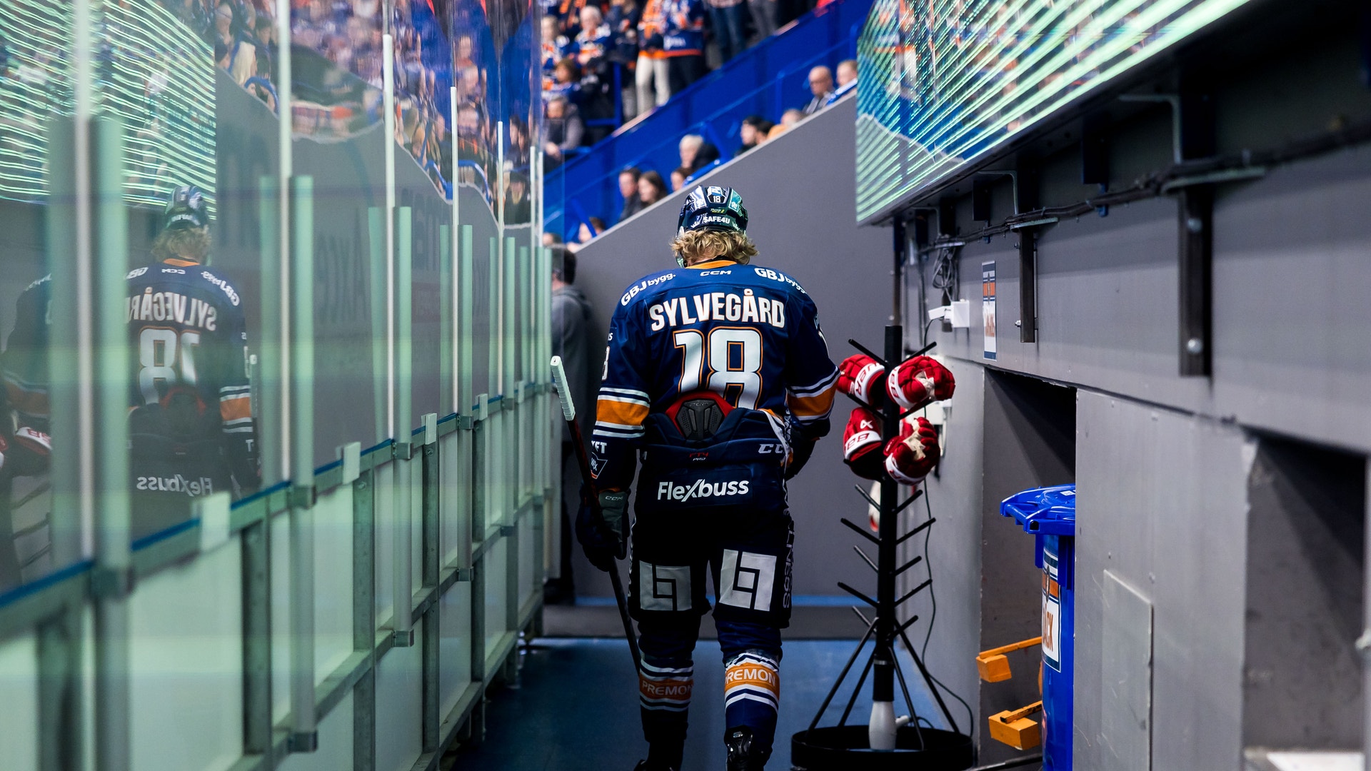 Foto: Jonas Ljungdahl/Bildbyrån