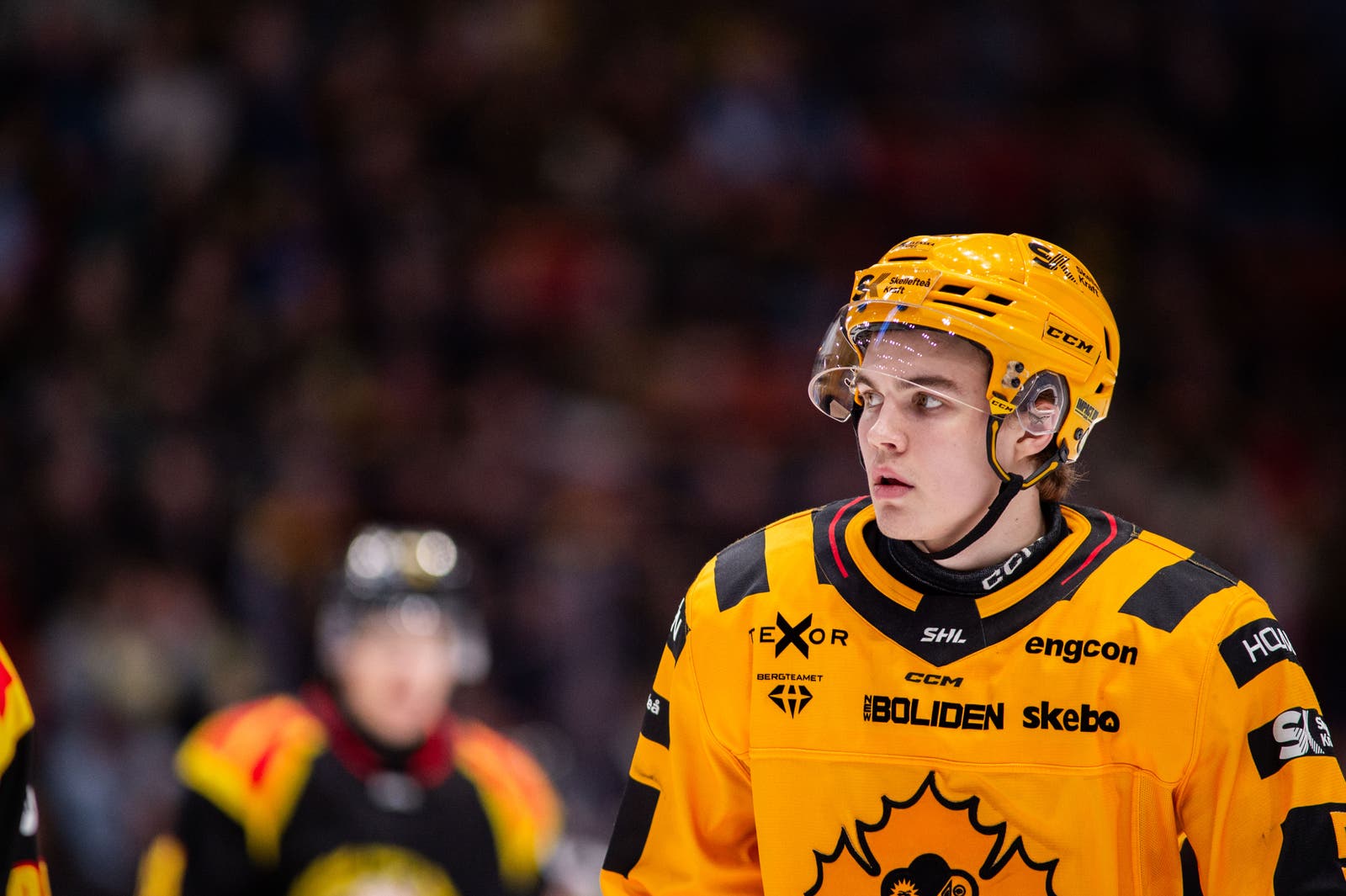 Axel Sandin Pellikka