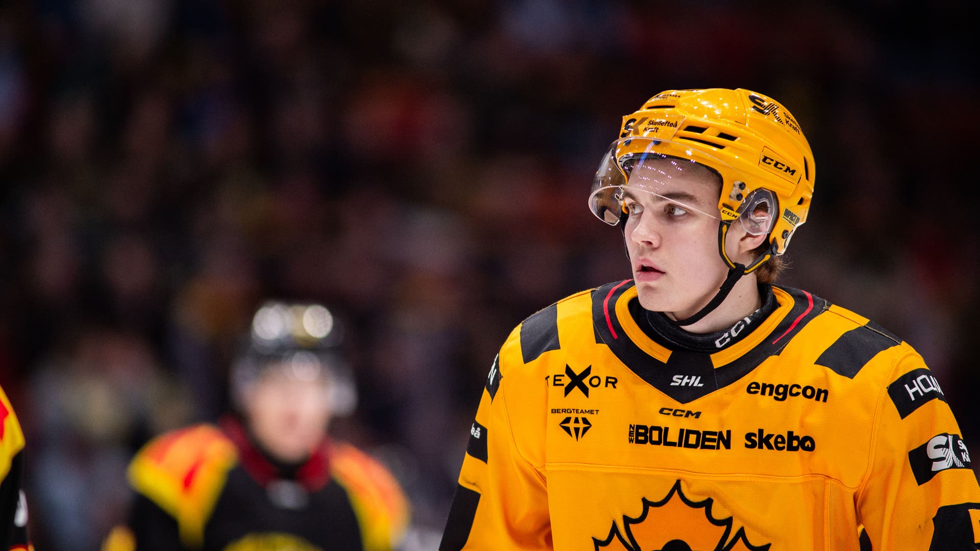 Axel Sandin Pellikka