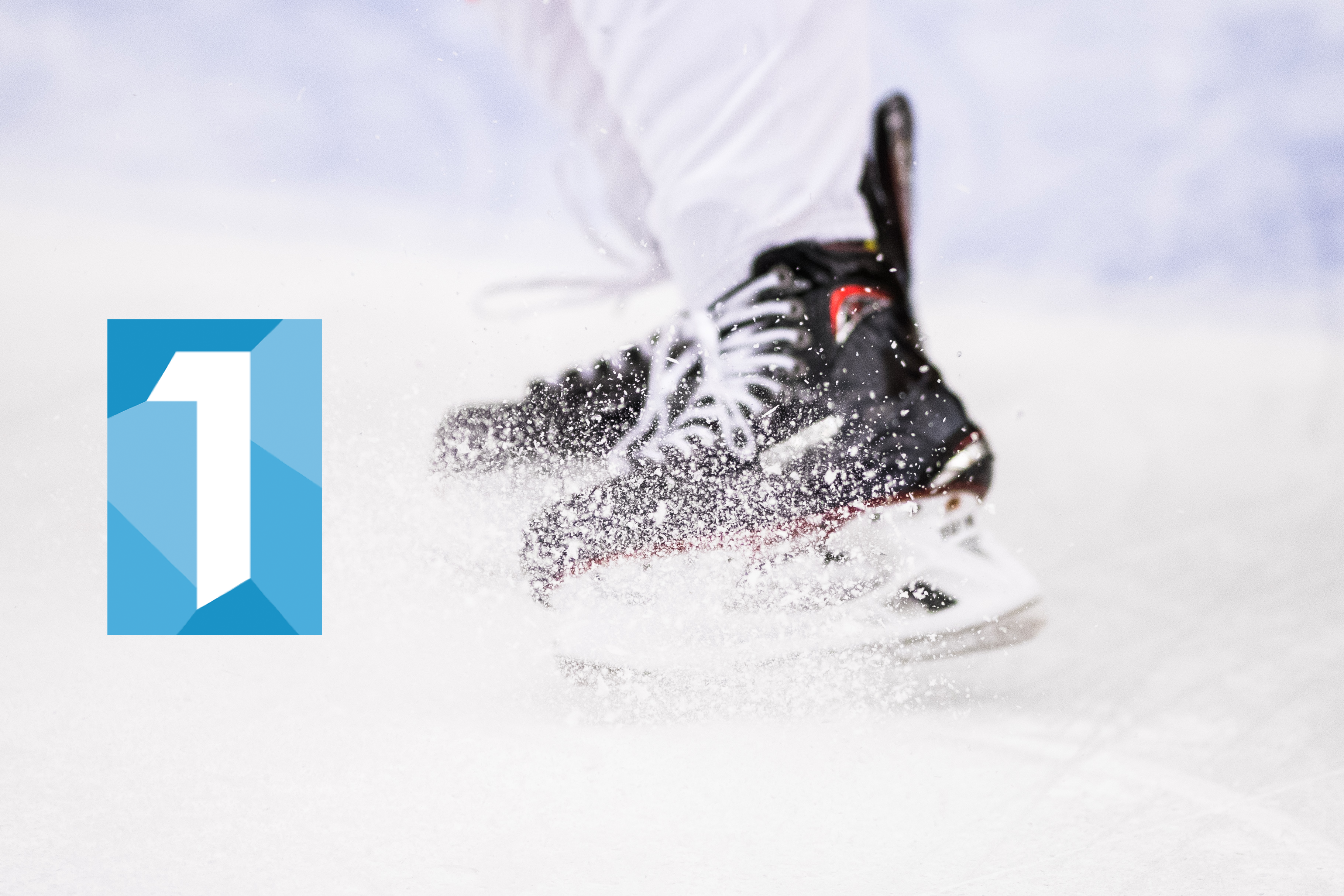 (2955) Mall hockeyettan