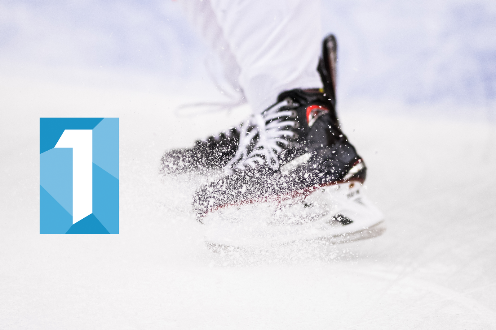 (2955) Mall hockeyettan