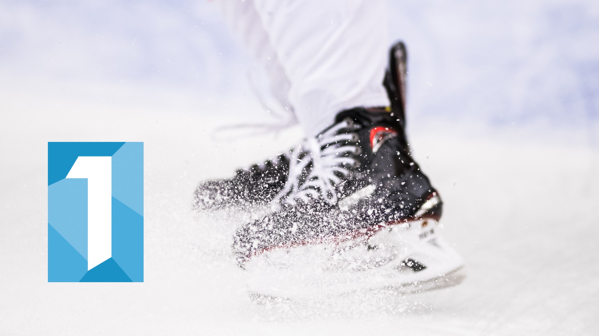 (2955) Mall hockeyettan