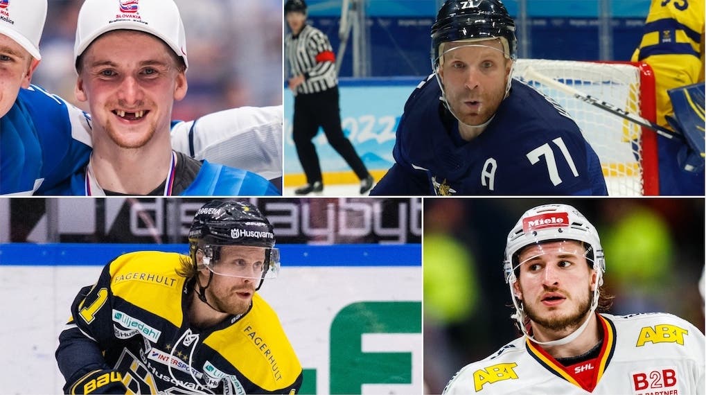 (24109) Manninen Komarov Tedenby Lilja