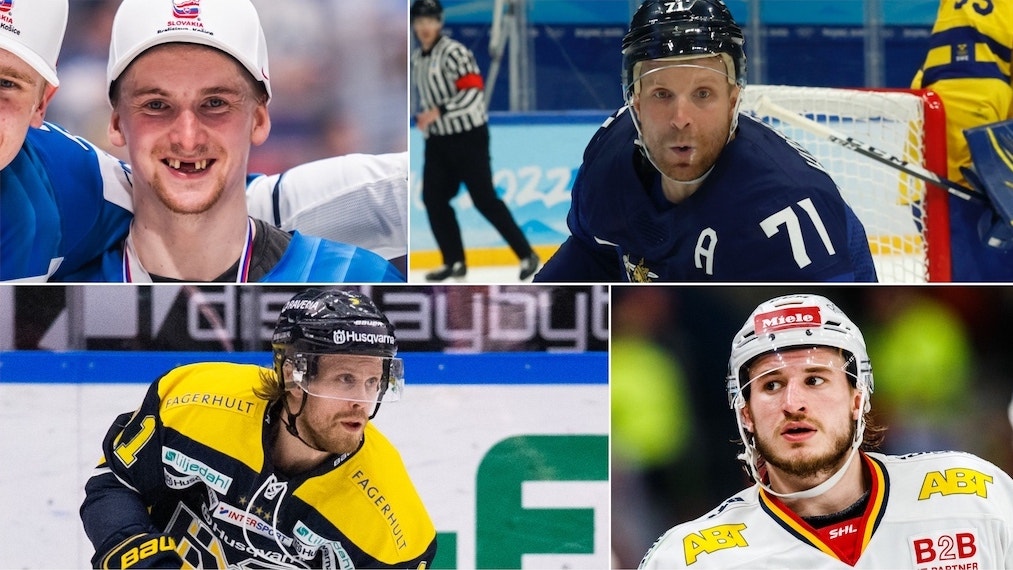 (24109) Manninen Komarov Tedenby Lilja