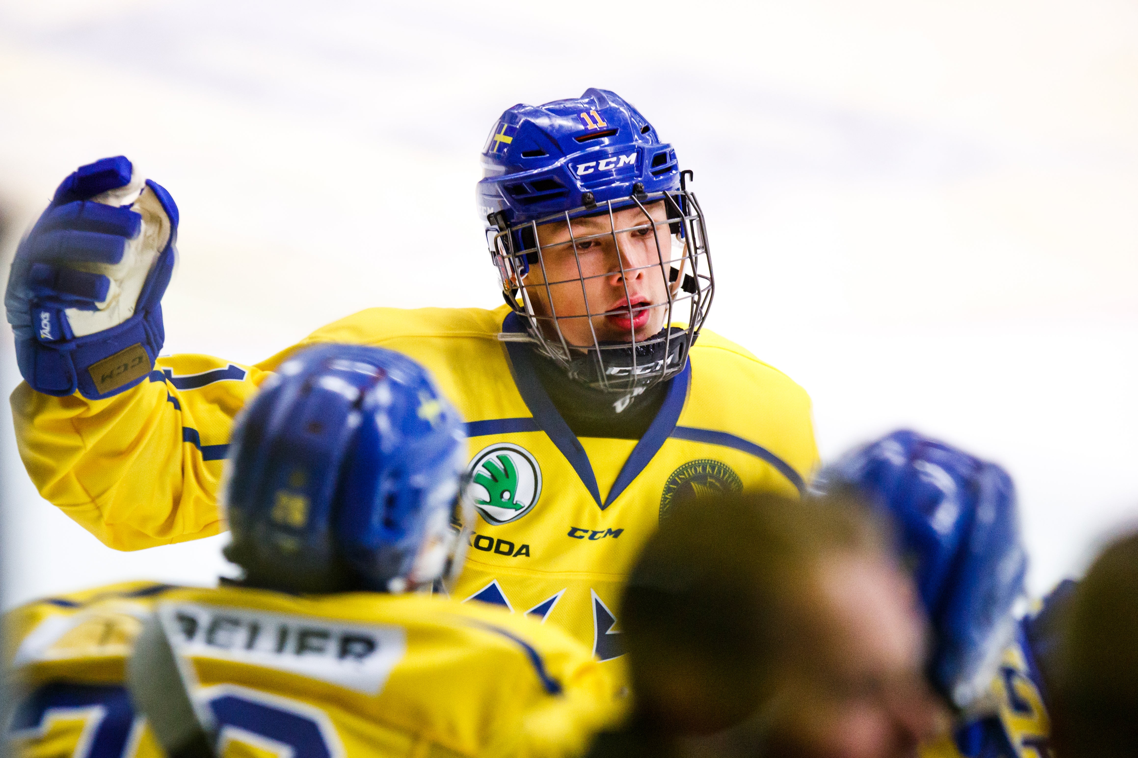 Josefine Loftenius/Bildbyrån