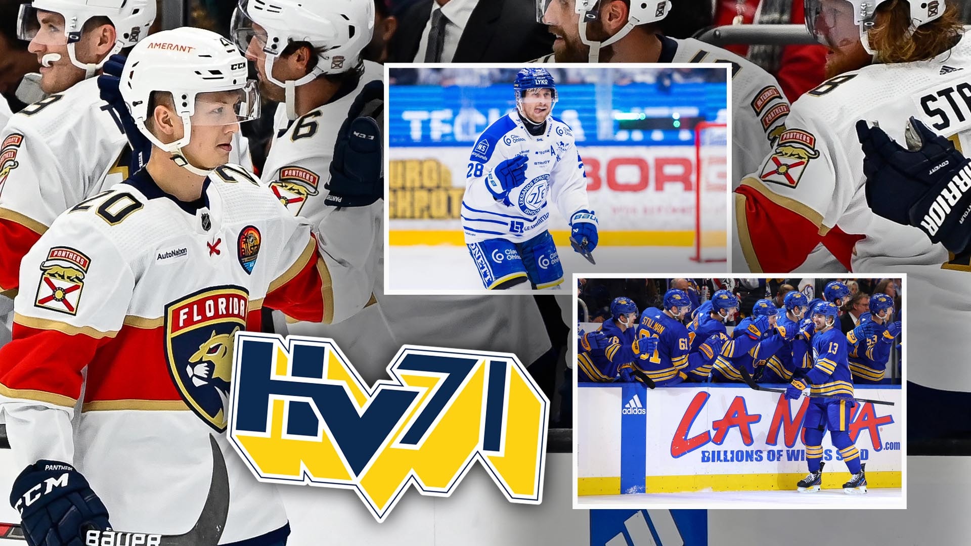 HV71 aswdw