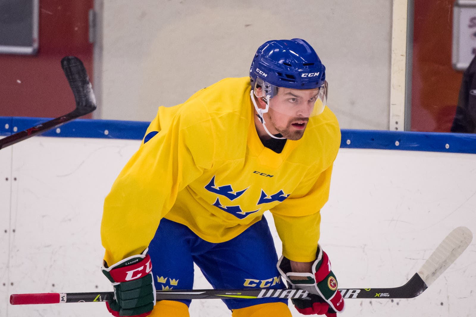 (4850) Anton Lander2