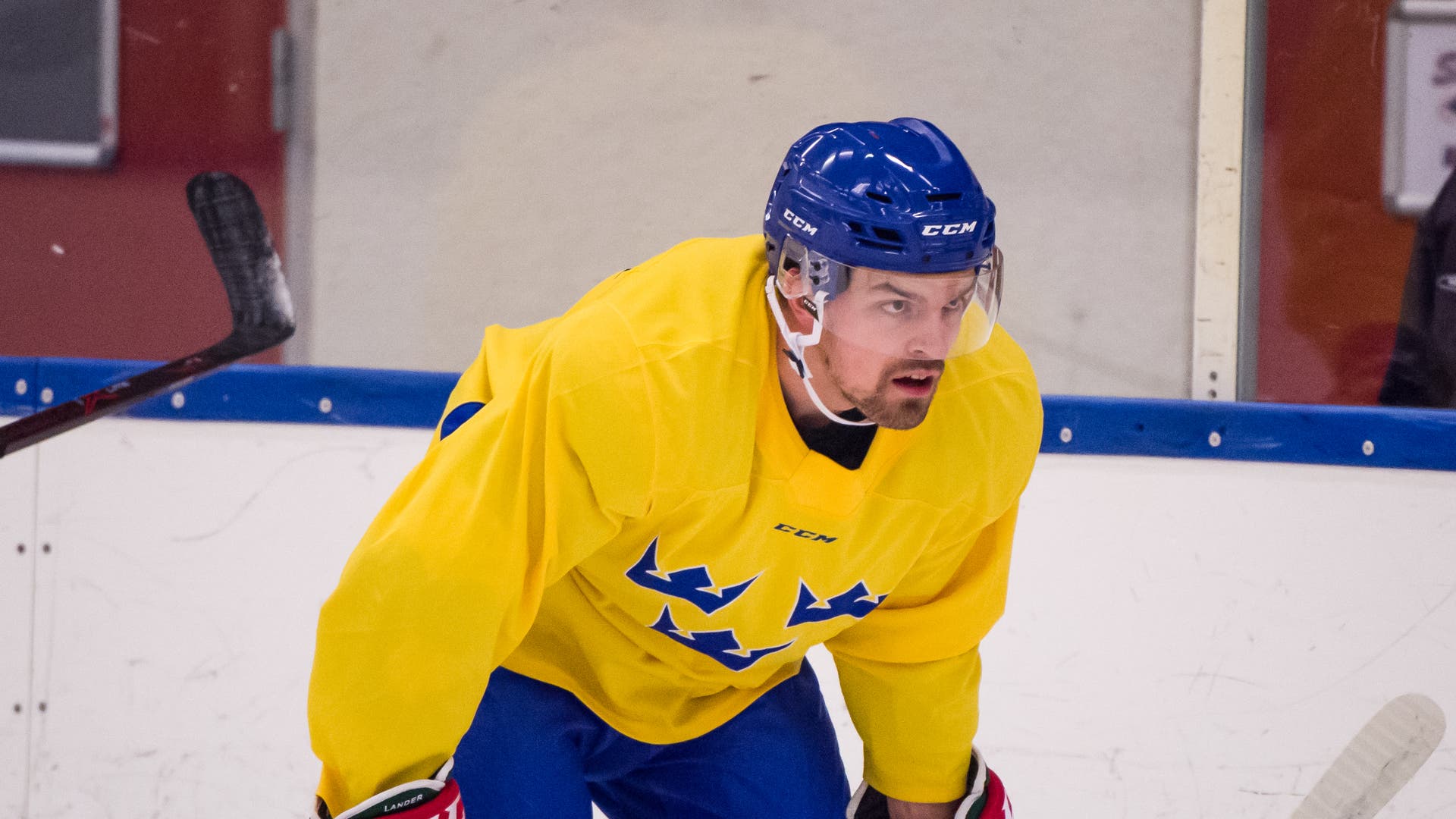 (4850) Anton Lander2