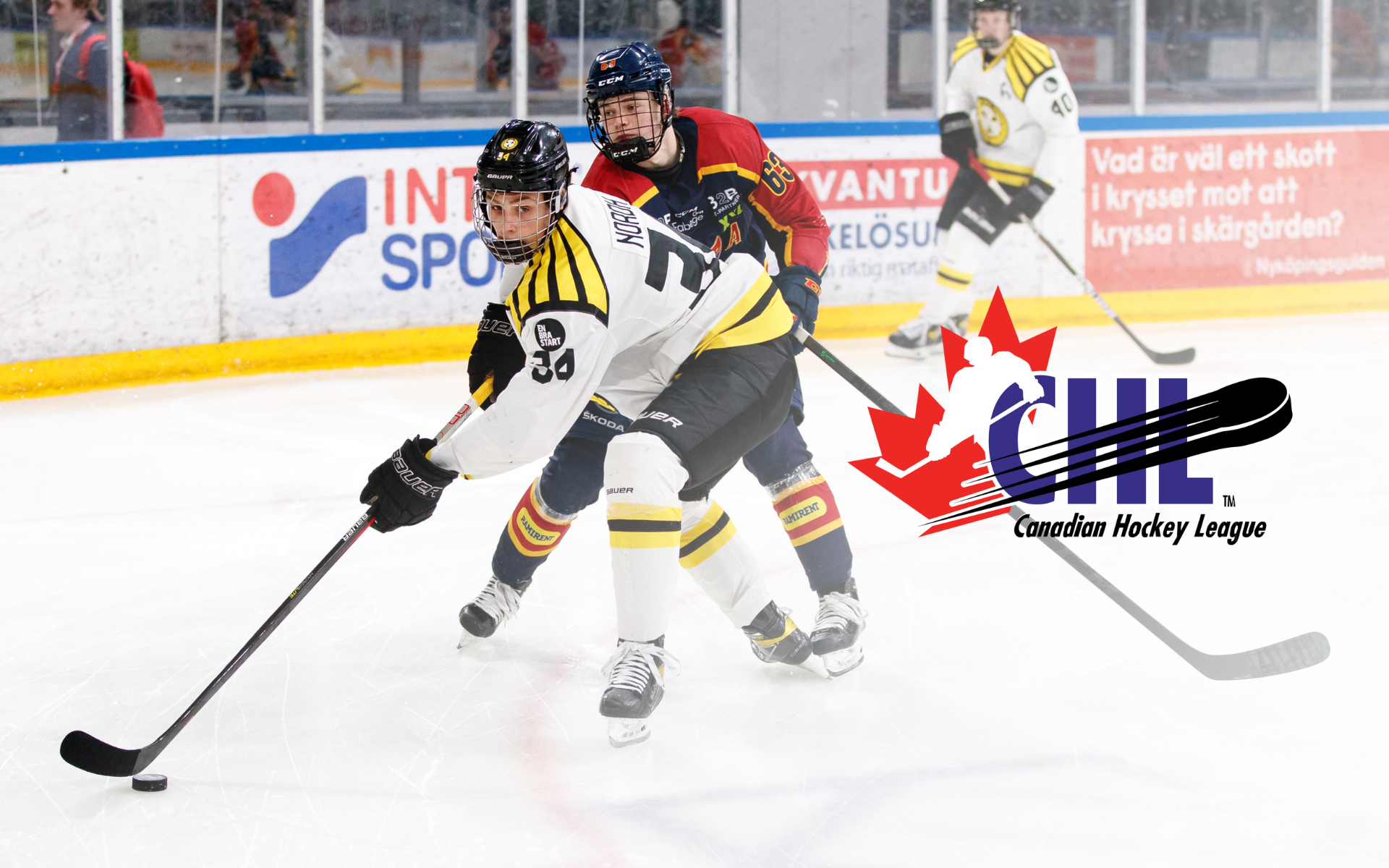 (24133) Noel Nordh CHL