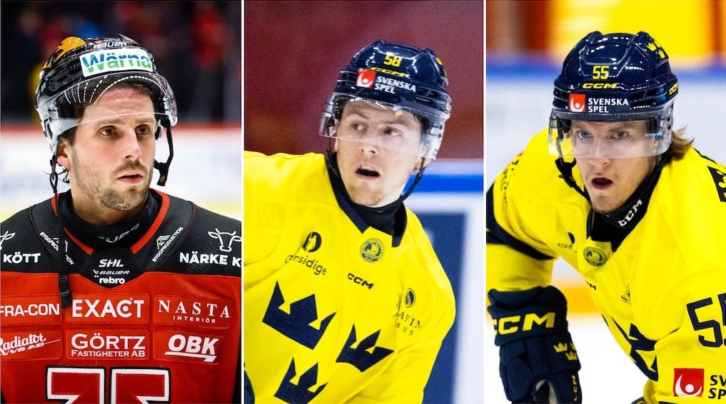 Bromé Sellgren Hardegård