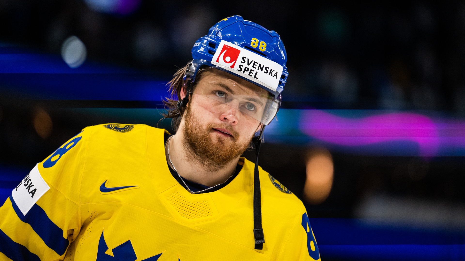 (28082) William Nylander