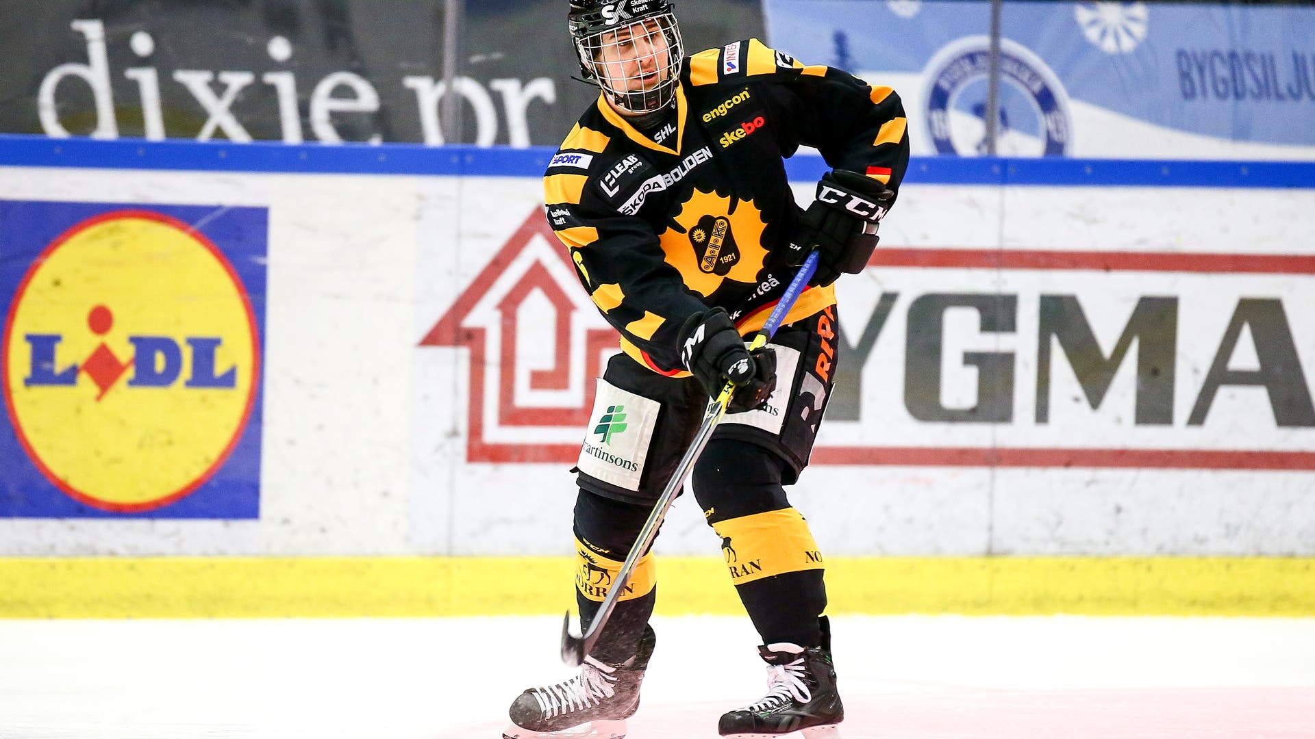 Ola Westerberg/Bildbyrån