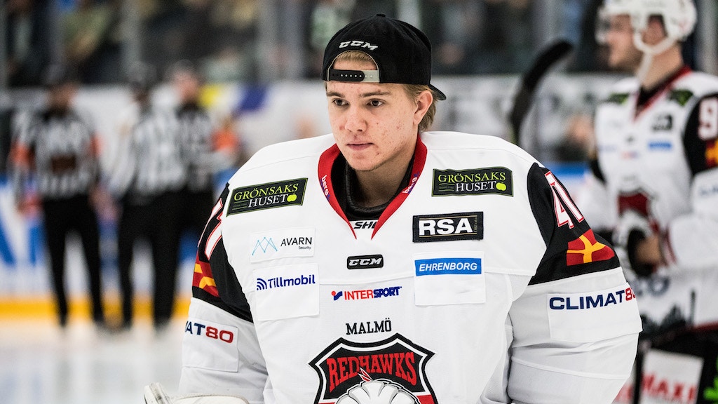 Petter Arvidson/Bildbyrån