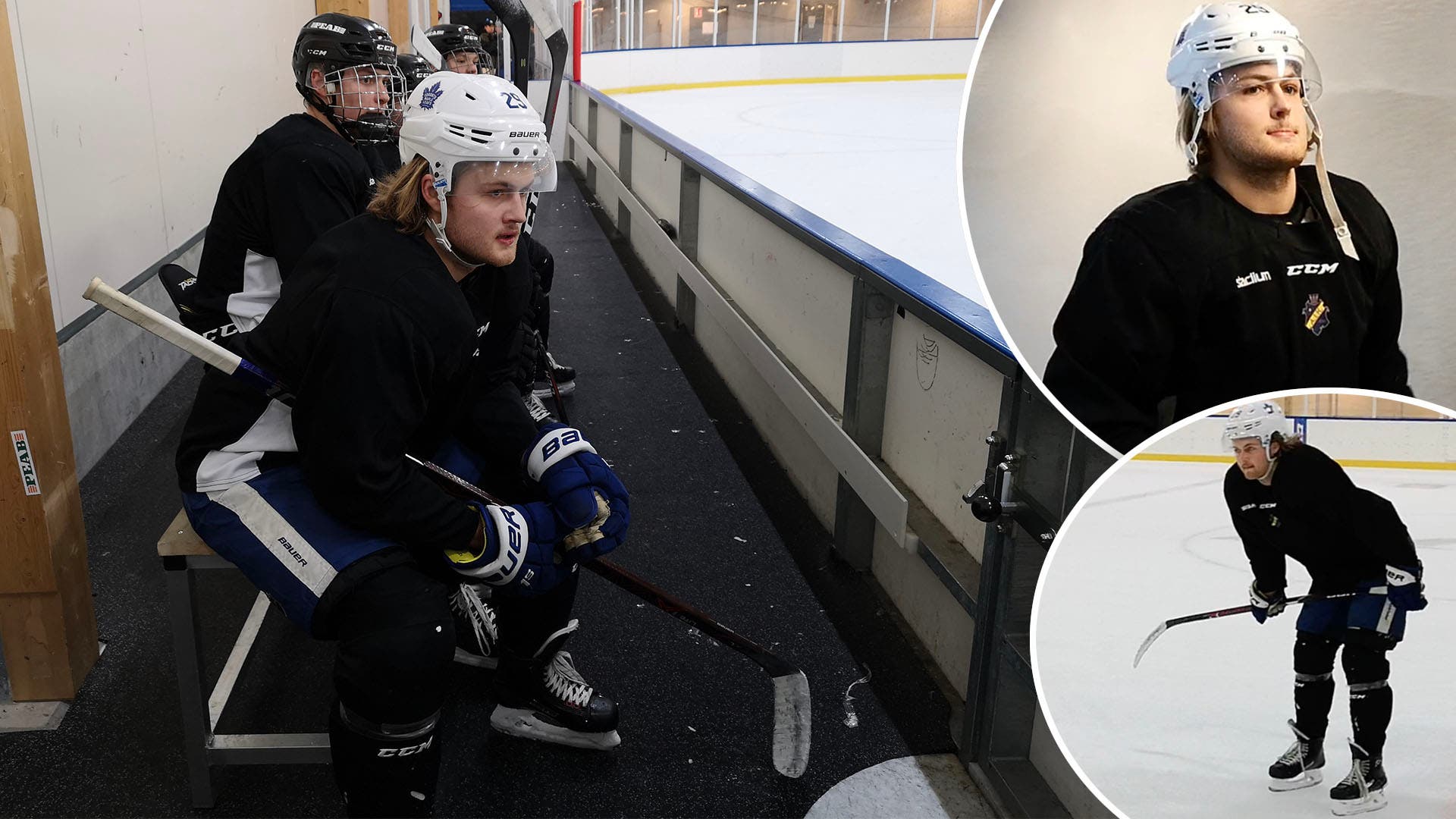 (5259) William Nylander