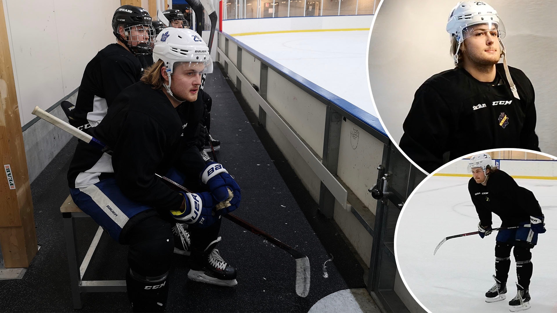 (5259) William Nylander