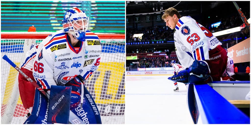 (10230) Williamsson/Petterson-Wentzel