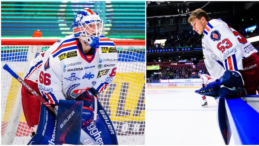 (10230) Williamsson/Petterson-Wentzel