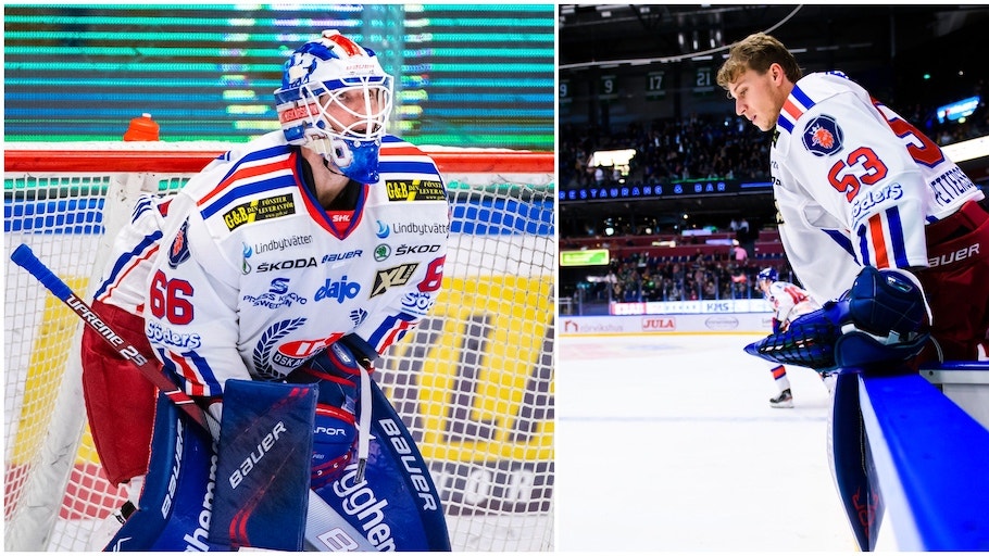 (10230) Williamsson/Petterson-Wentzel