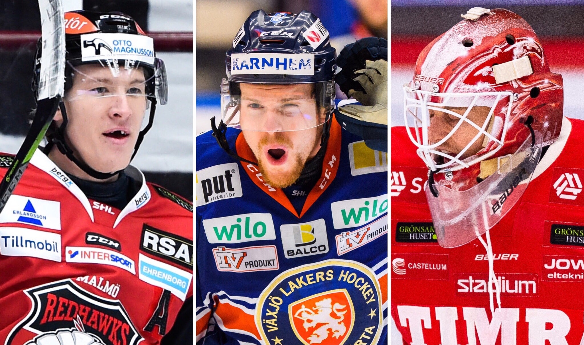 (6780) E. Sylvegård/Shinnimin/Svedberg