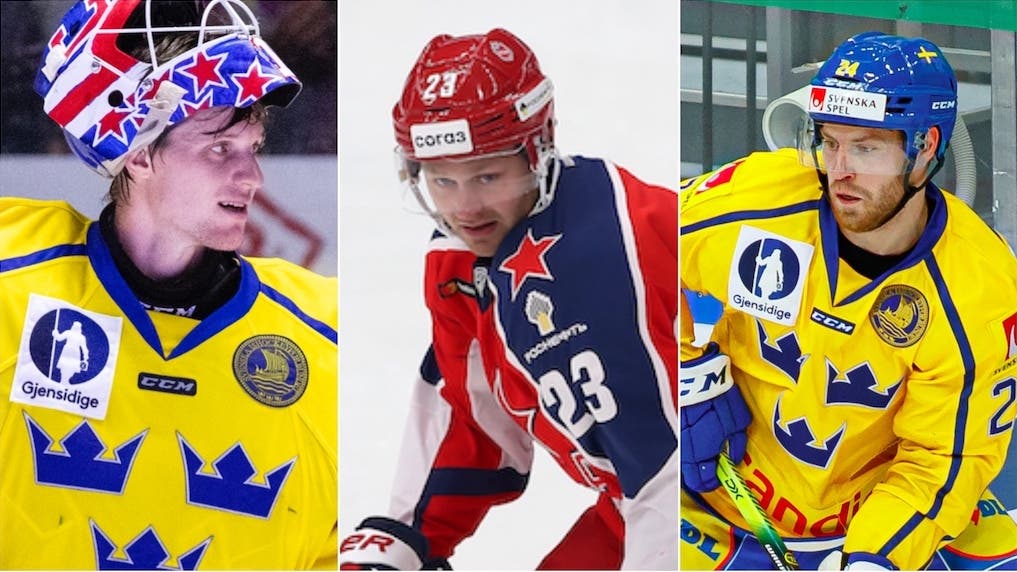 (c) photo.khl.ru Yury Kuzmin/Bildbyrån