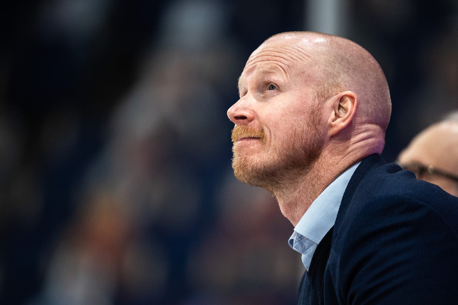 (21317) Tobias Thermell