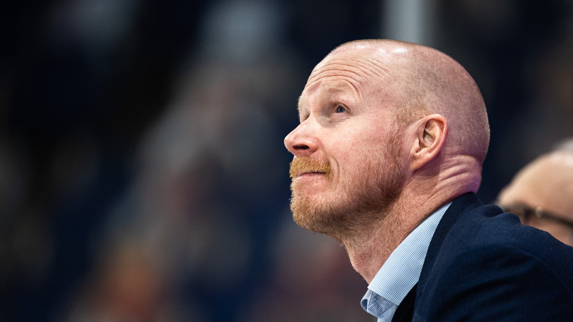 (21317) Tobias Thermell