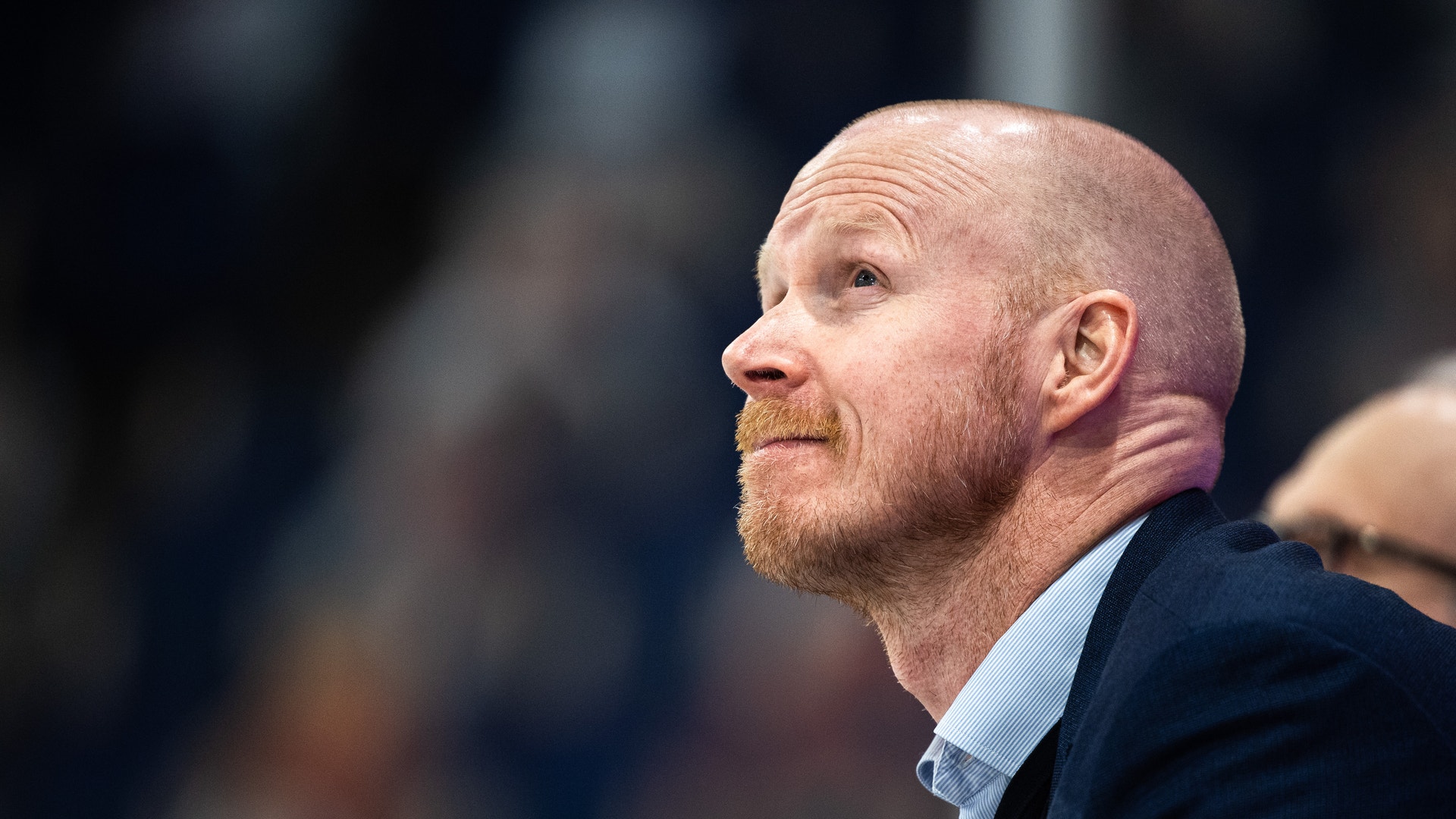 (21317) Tobias Thermell