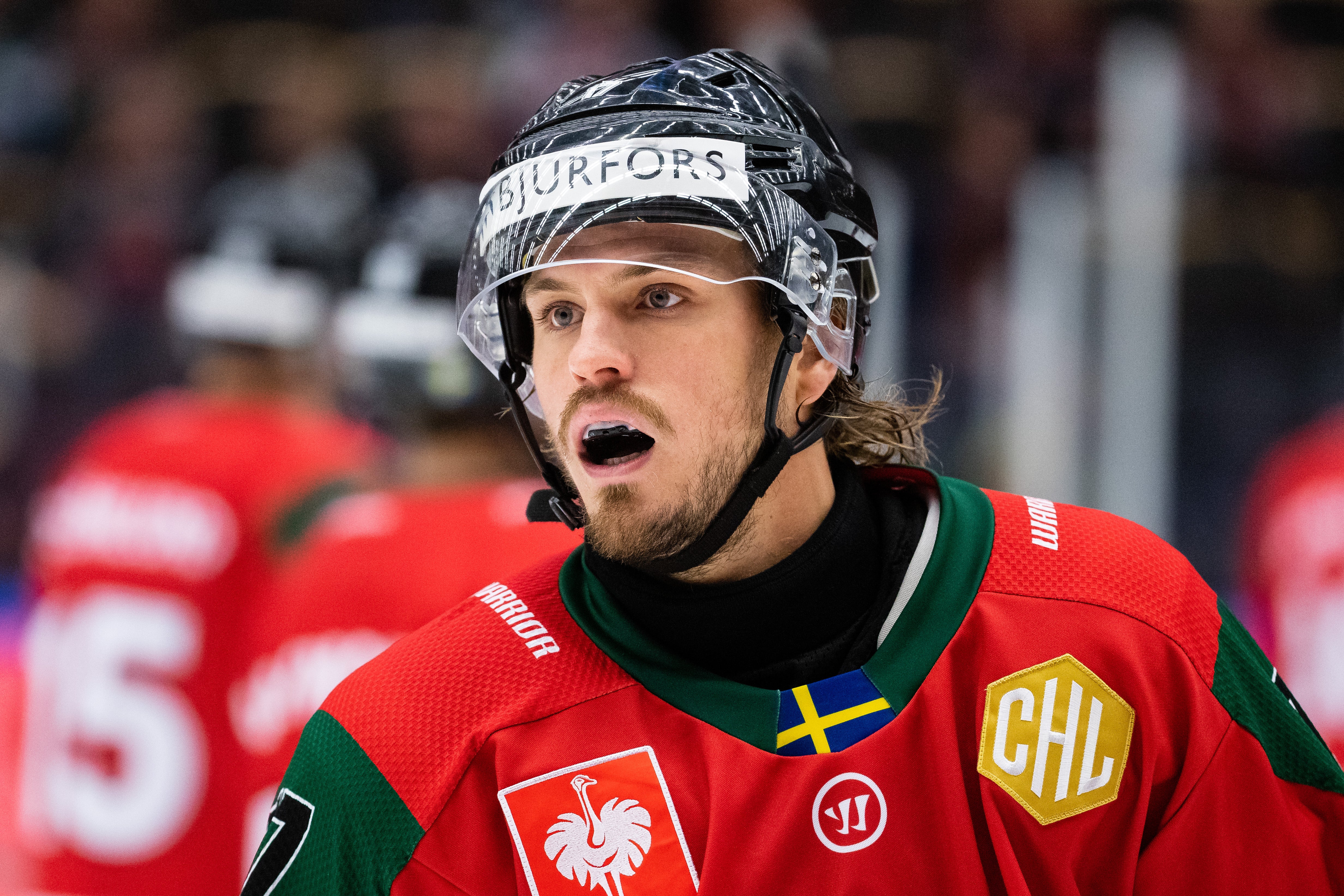 (25765) Stålberg