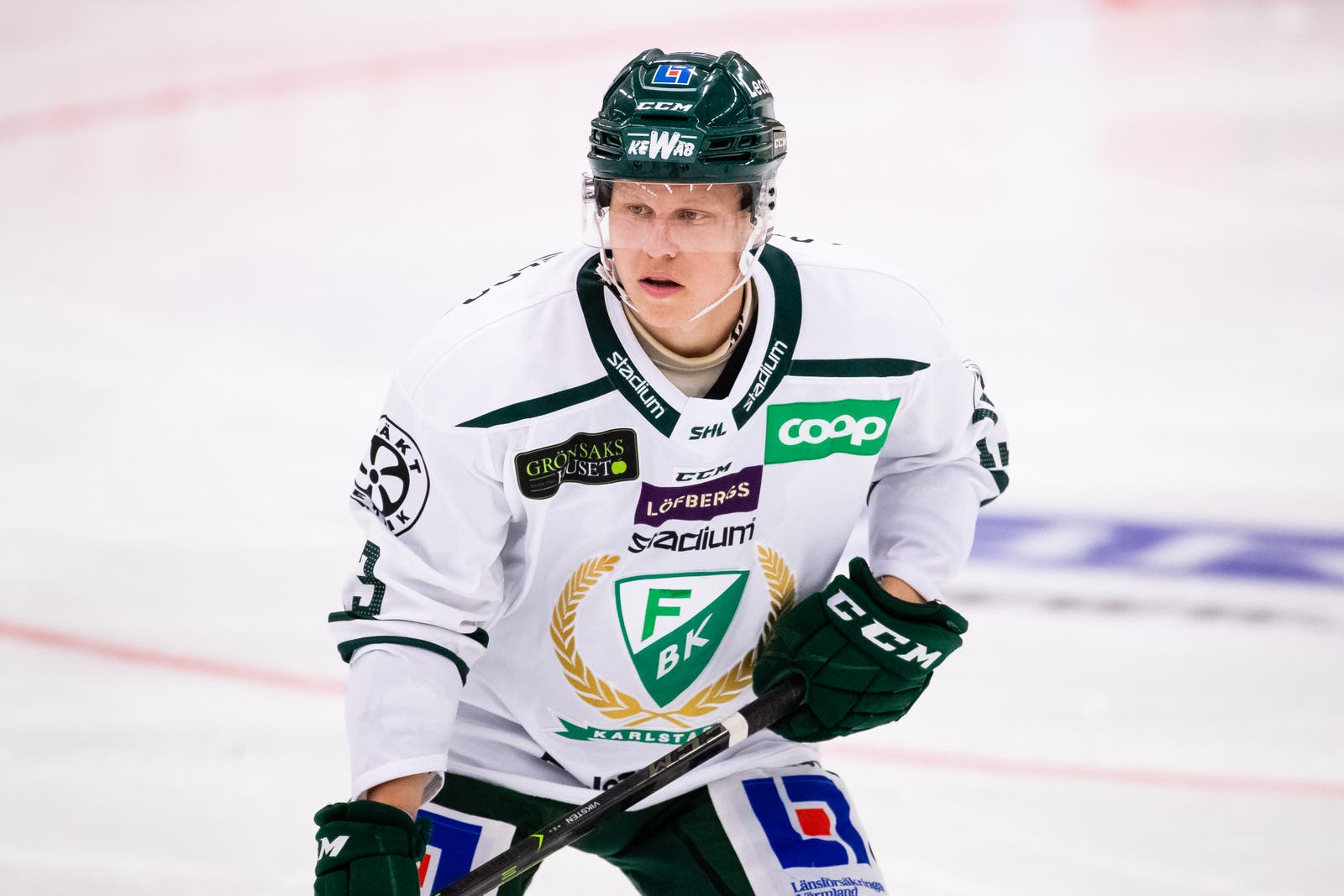 (15631) Daniel Viksten