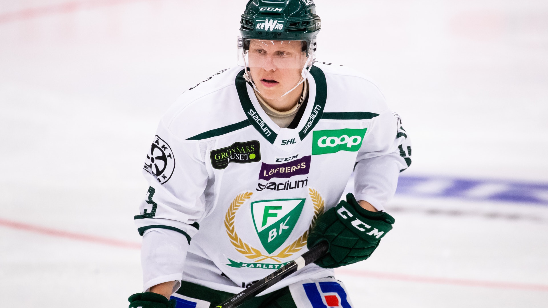 (15631) Daniel Viksten