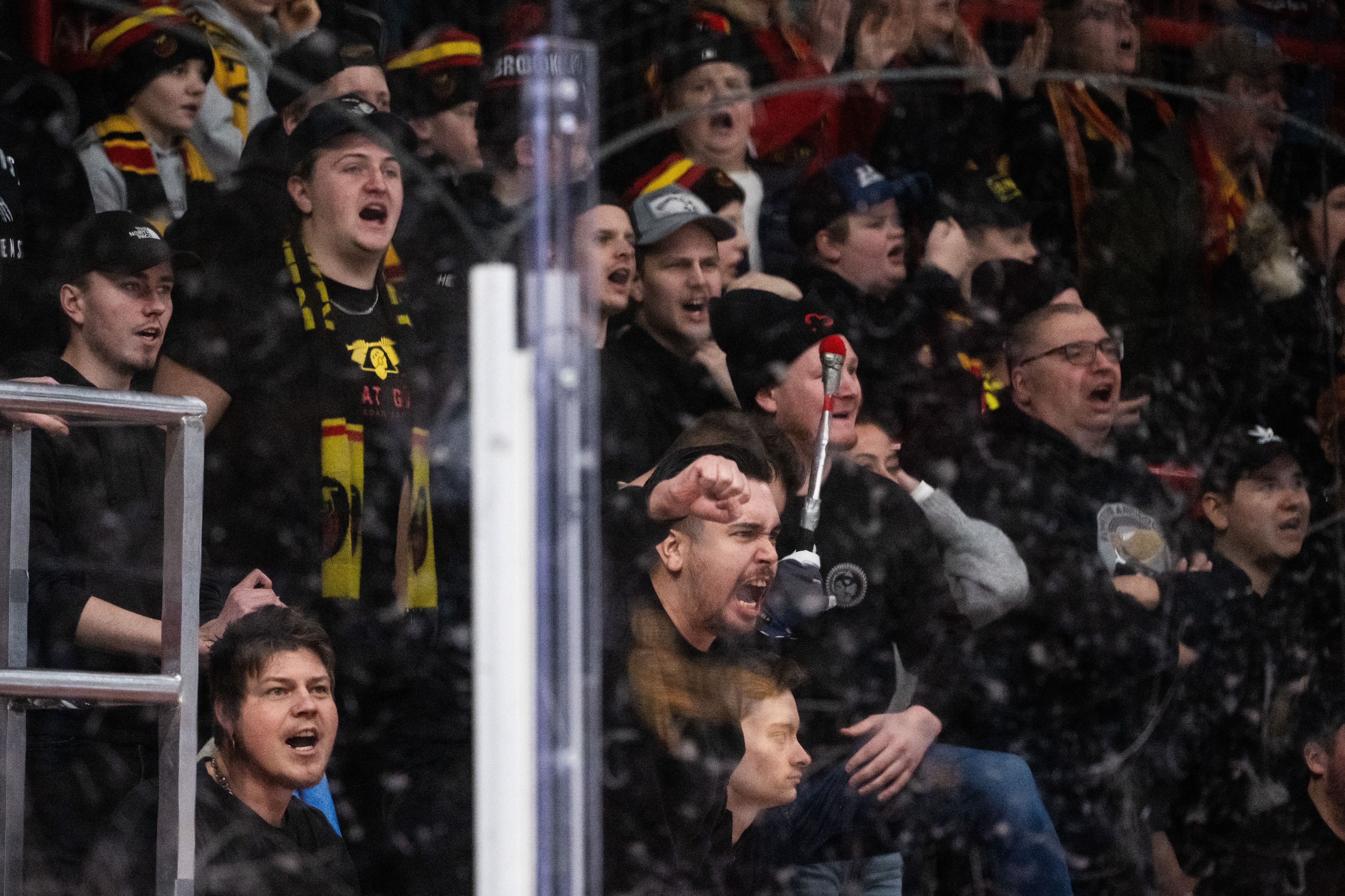 (31287) Luleås supportrar