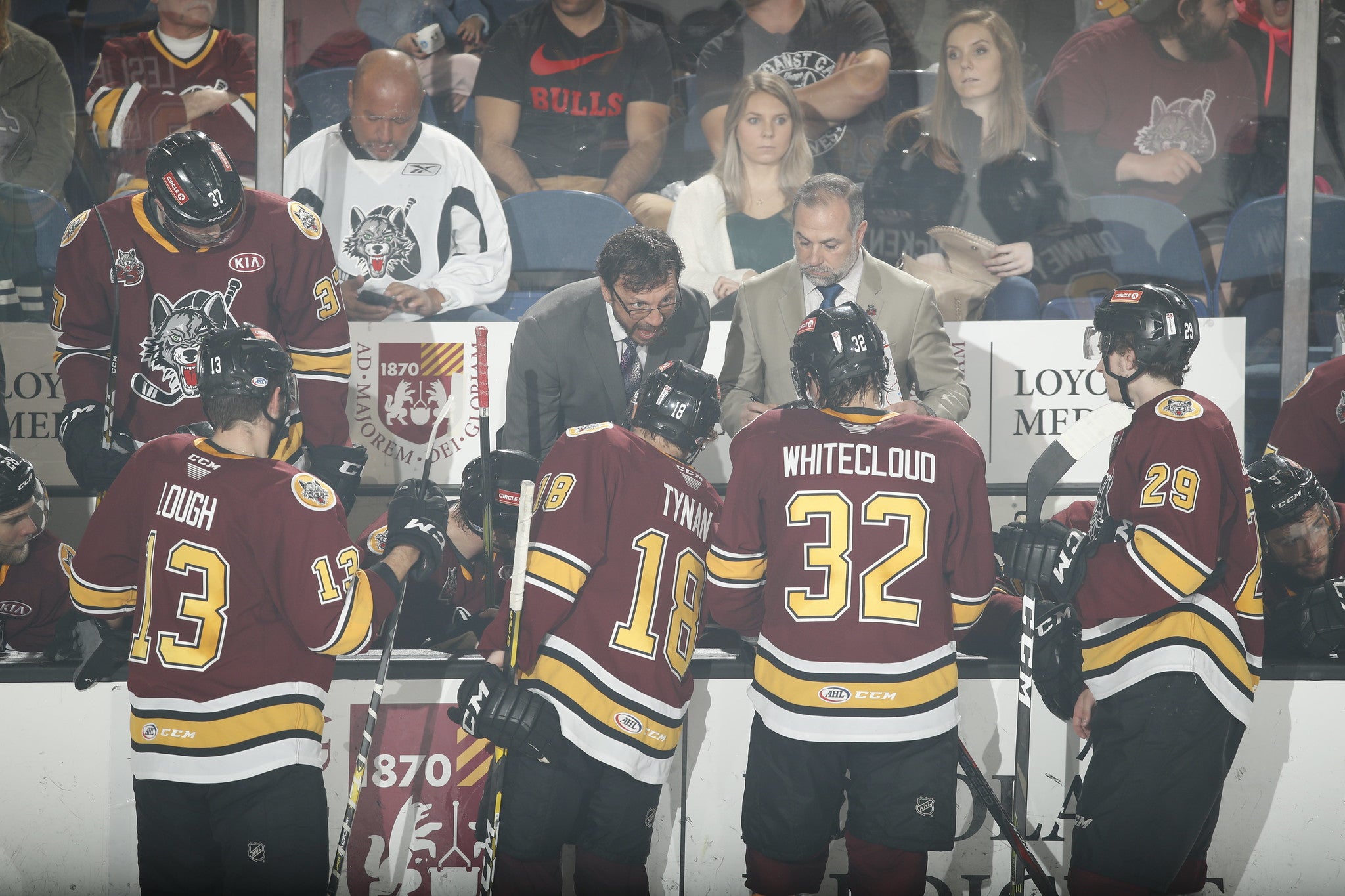 (8797) Chicago Wolves