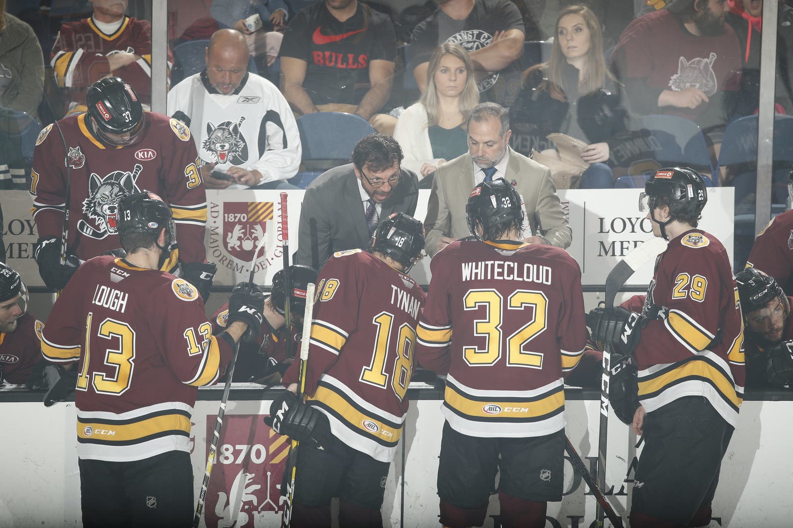 (8797) Chicago Wolves