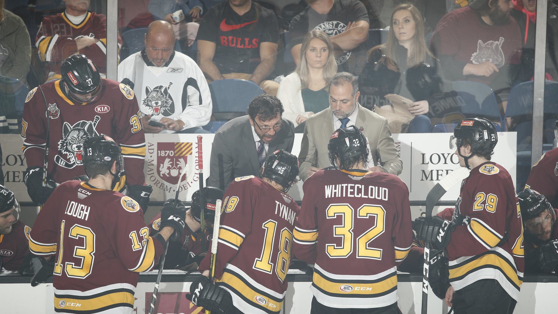 Ross Dettman/Chicago Wolves