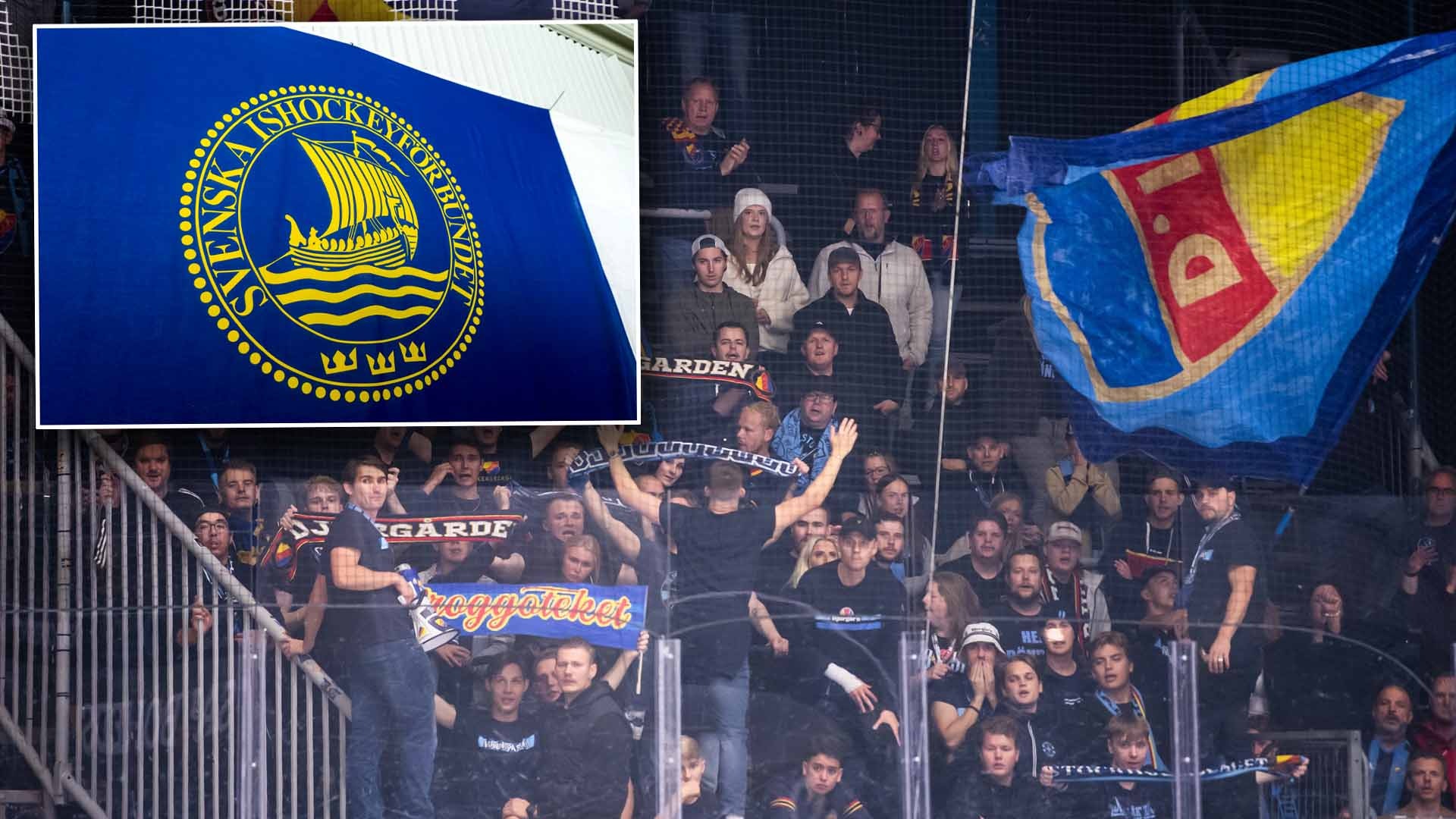 Djurgården fans