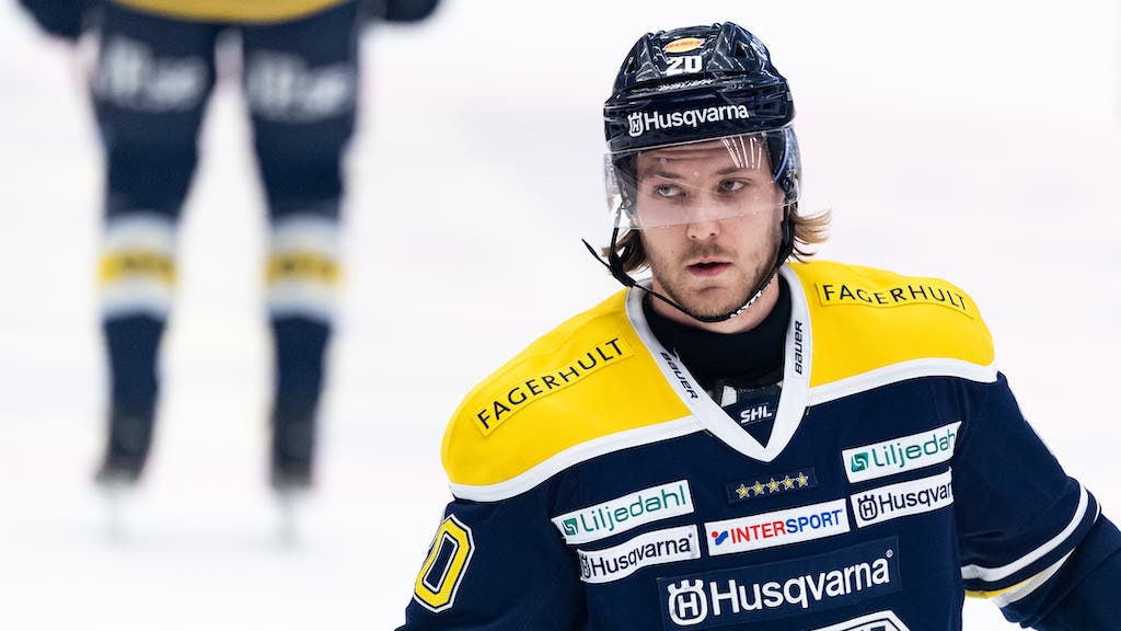 (13687) Linus Sandin/HV71