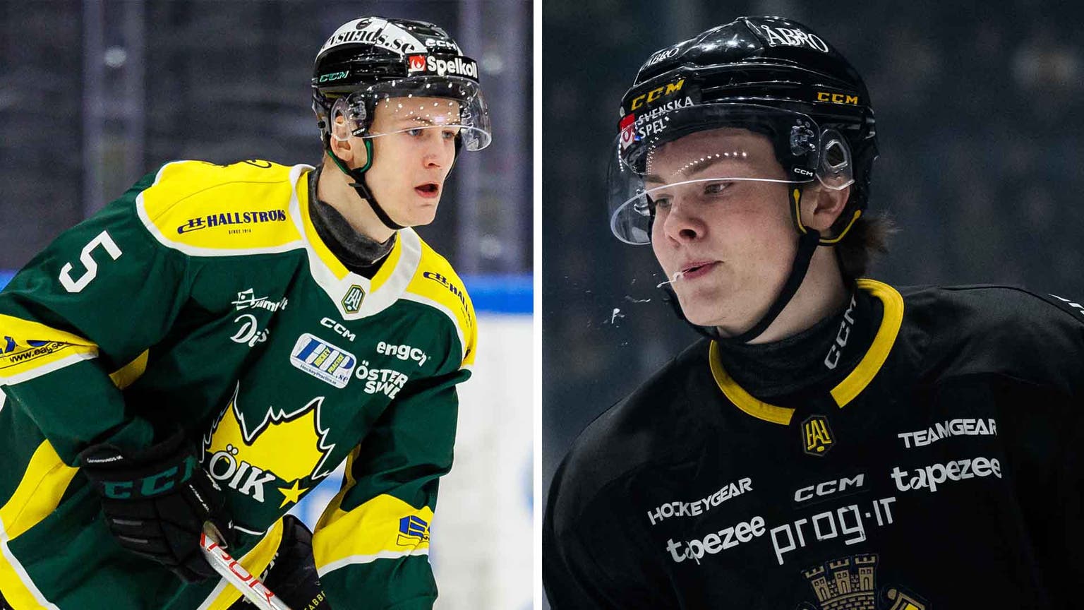 Visby Roma Visby/Roma HK – Senaste nytt, Trupp & Matcher - HockeyNews