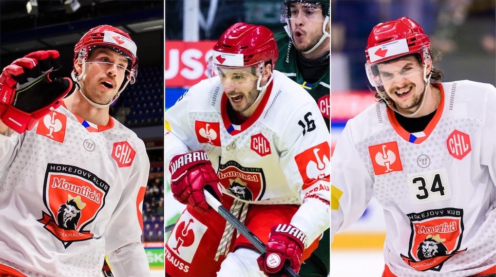 (28211) McCormack Stohanzl Klima