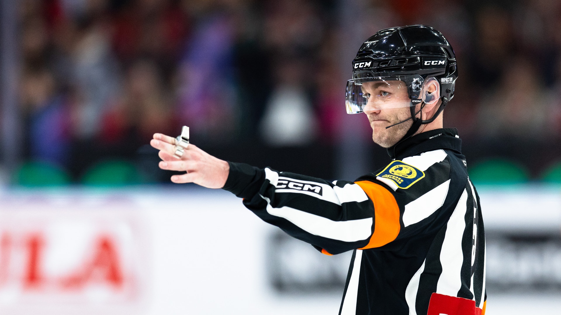 Foto: Michael Erichsen/Bildbyrån