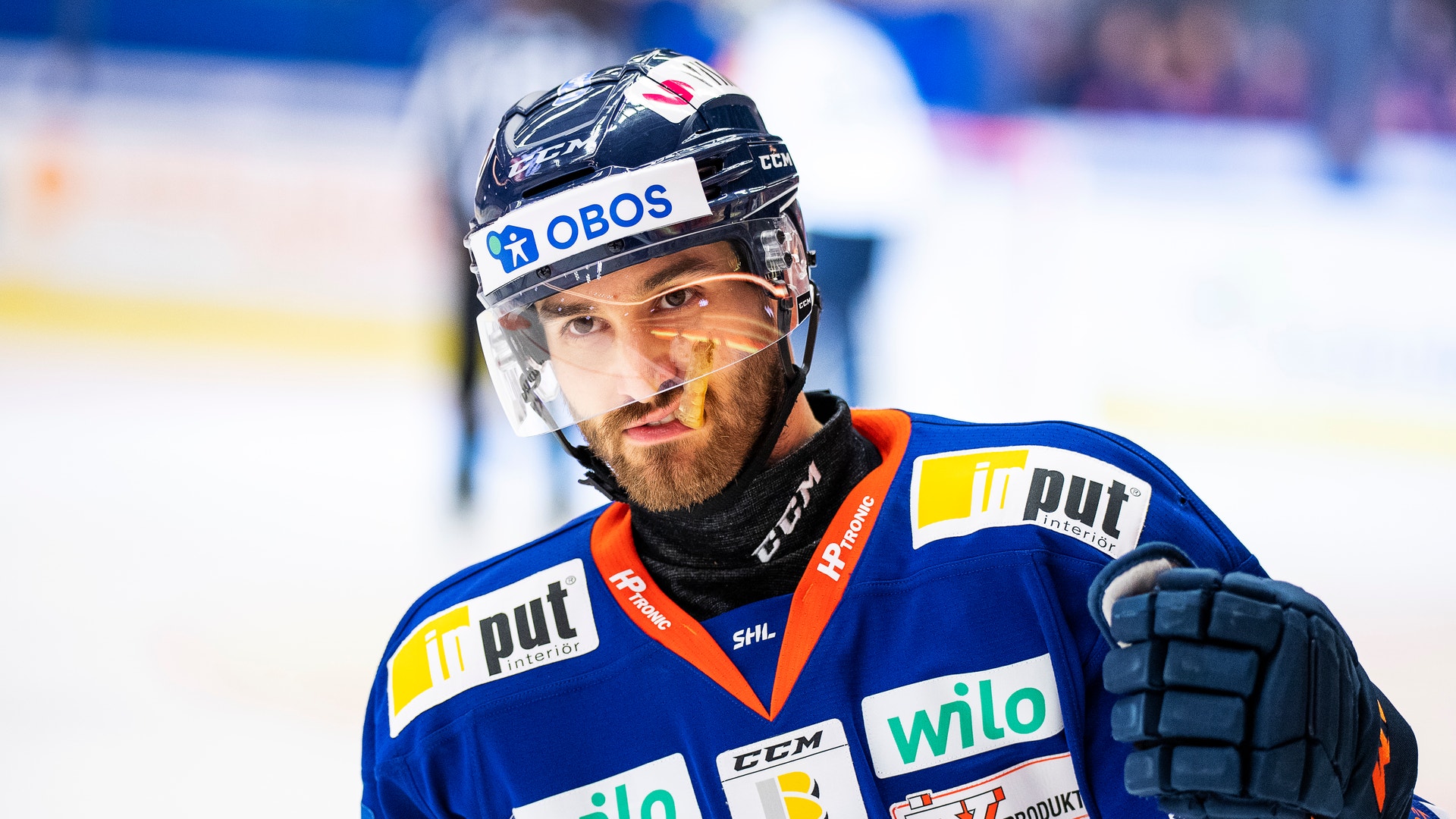 (17682) Andrew Calof