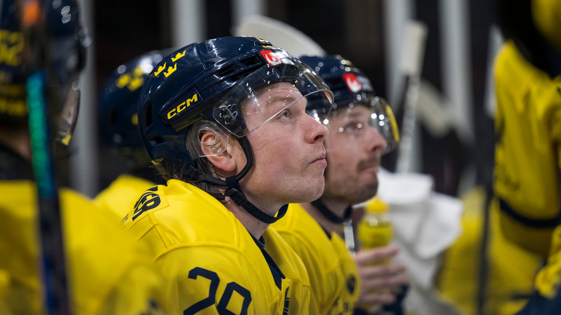 Oskar Steen