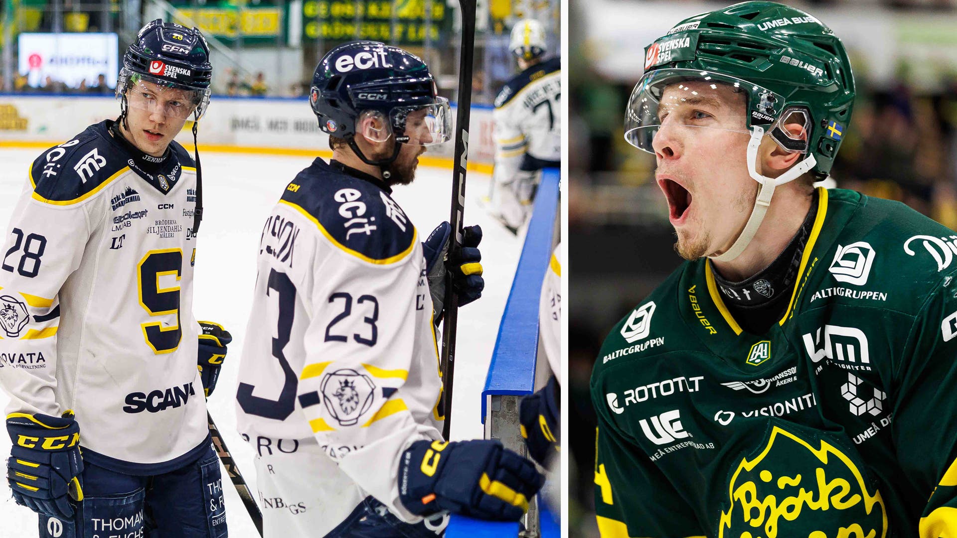 södertälje björklöven