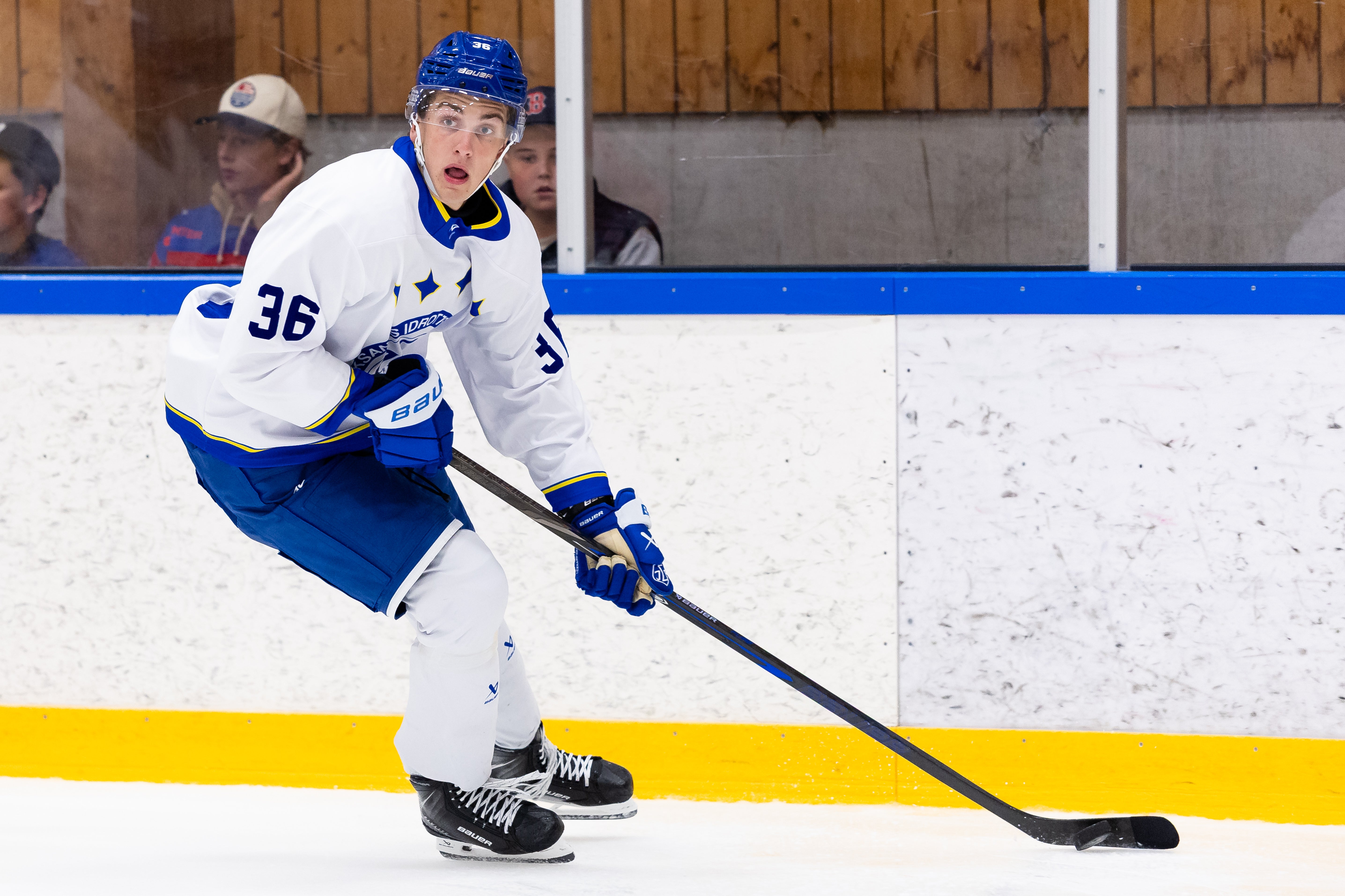 En ishockeyspelare i vit och blå matchtröja med nummer 36 åker skridskor och styr pucken med klubban.