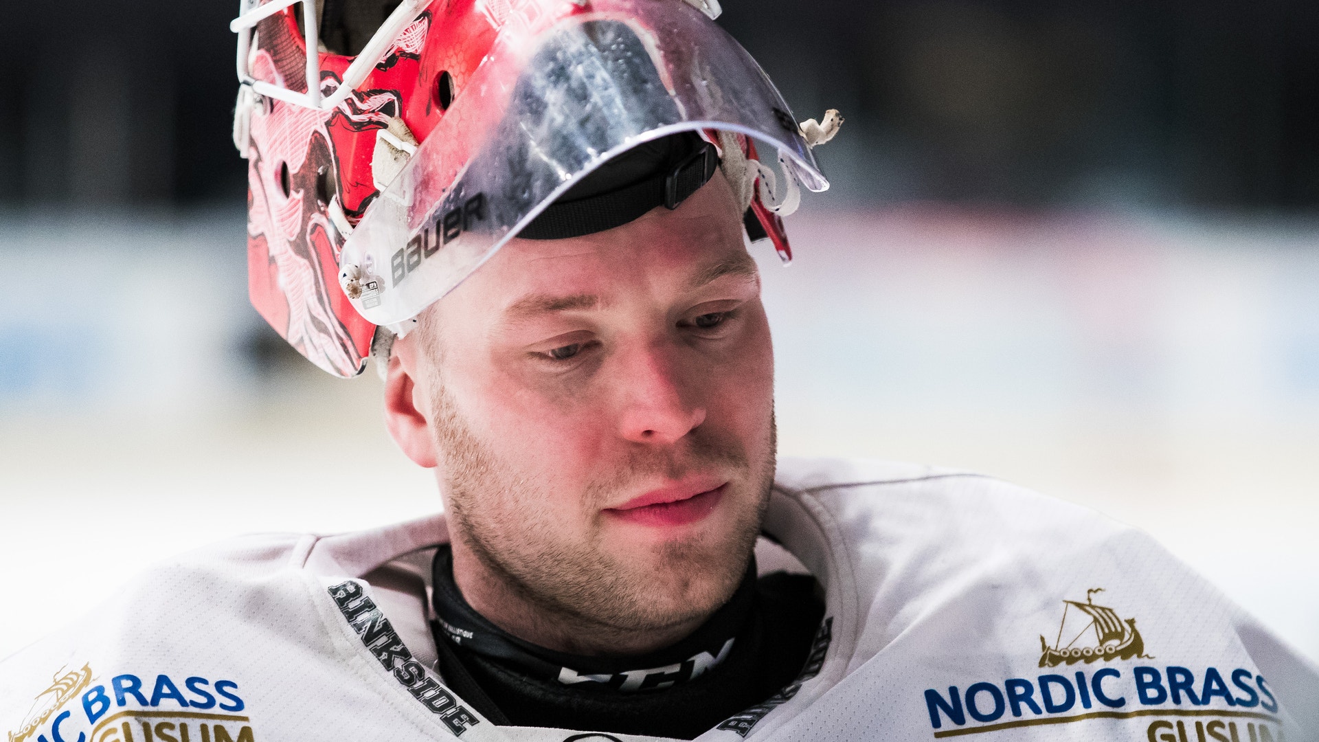 (8891) pontus sjögren