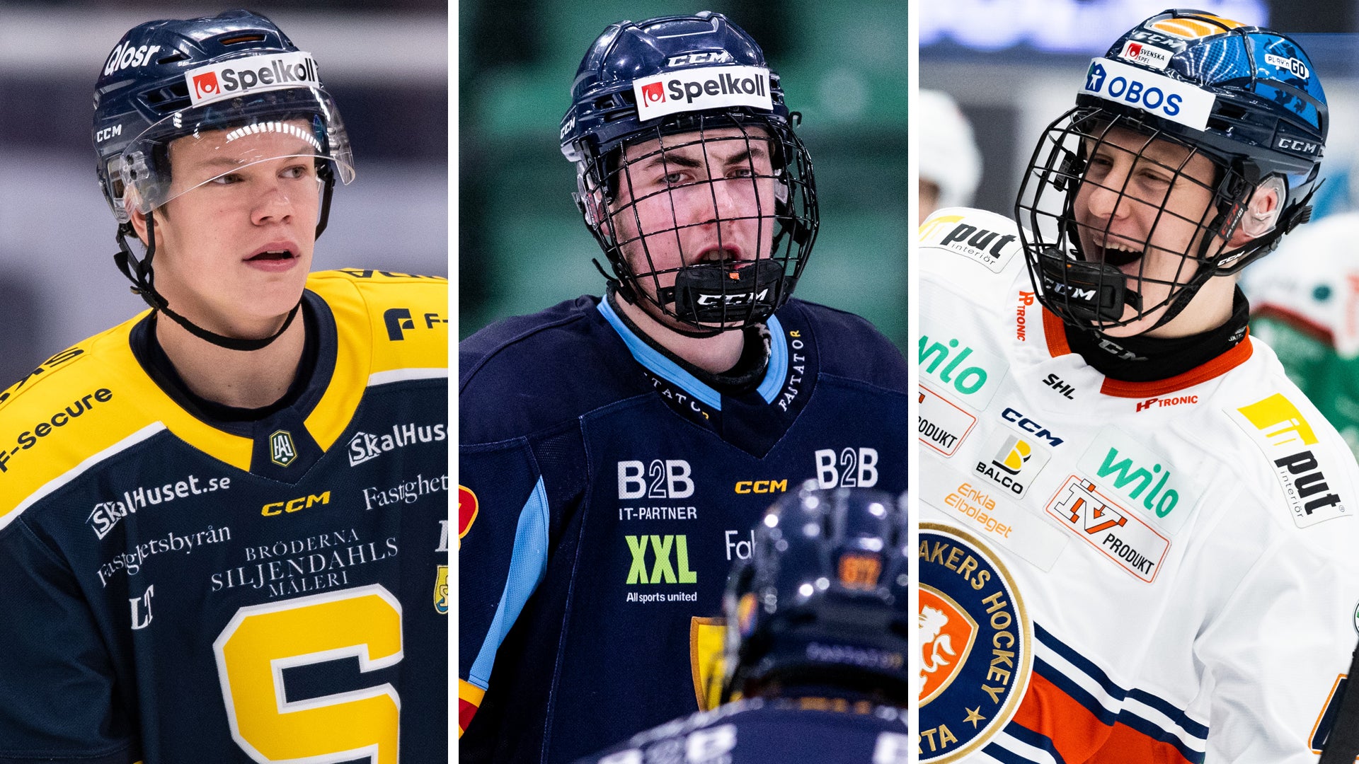 (28493) CHL-draft